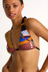 Shan Classique Triangle bikini top